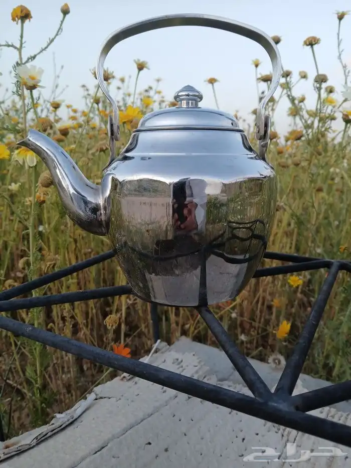 بريق العساف حائل مضلع. . كوري 0