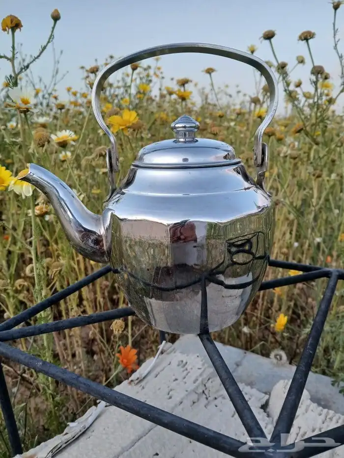 بريق العساف حائل مضلع. . كوري 1