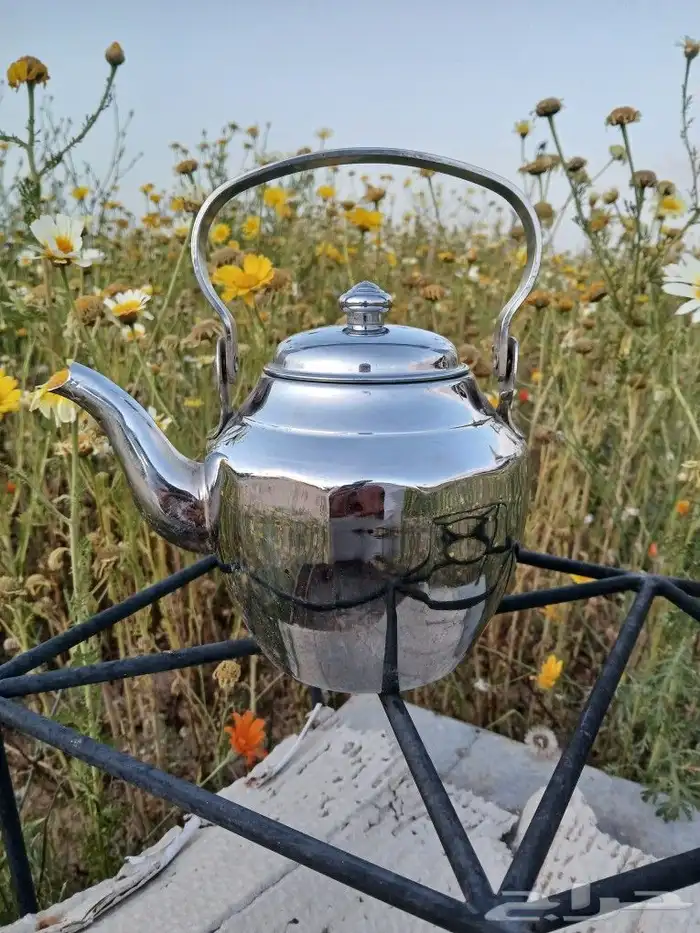 بريق العساف حائل مضلع. . كوري 2