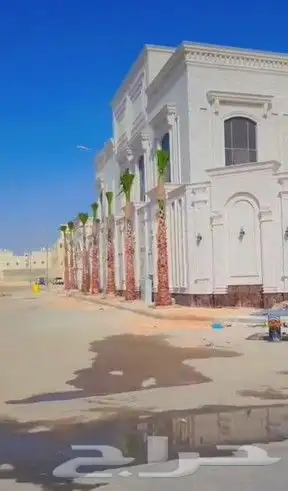 سلام عليكم يوجد لدينا جميع انواع انخيل المثمر وزينه 4