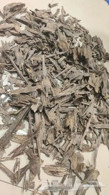 عود كلمنتان الشرقيه 0