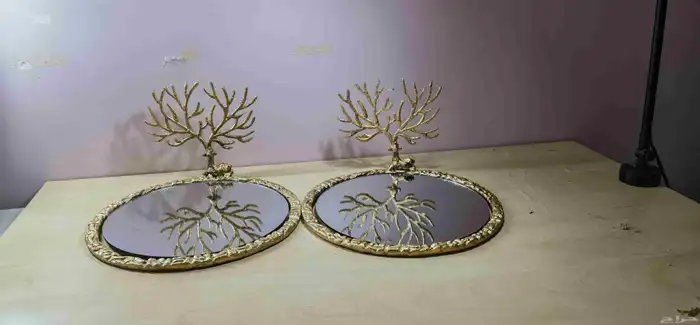 صياني تقديم 1
