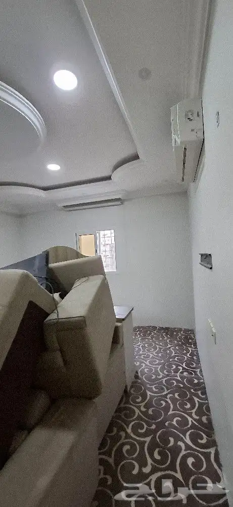 اصباغ الأحساء 11