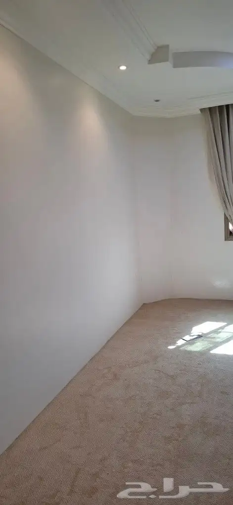 اصباغ الأحساء 19
