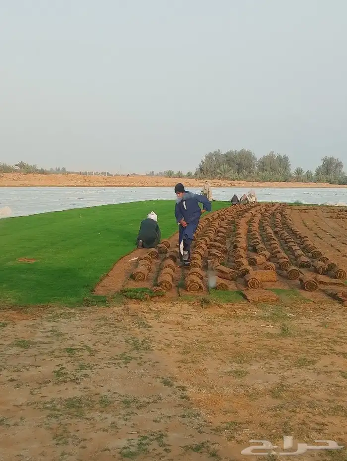 تيل 2000C صافي وطبيعي درجه اولى ممتاز موجود تركيب وتوريد فى 4