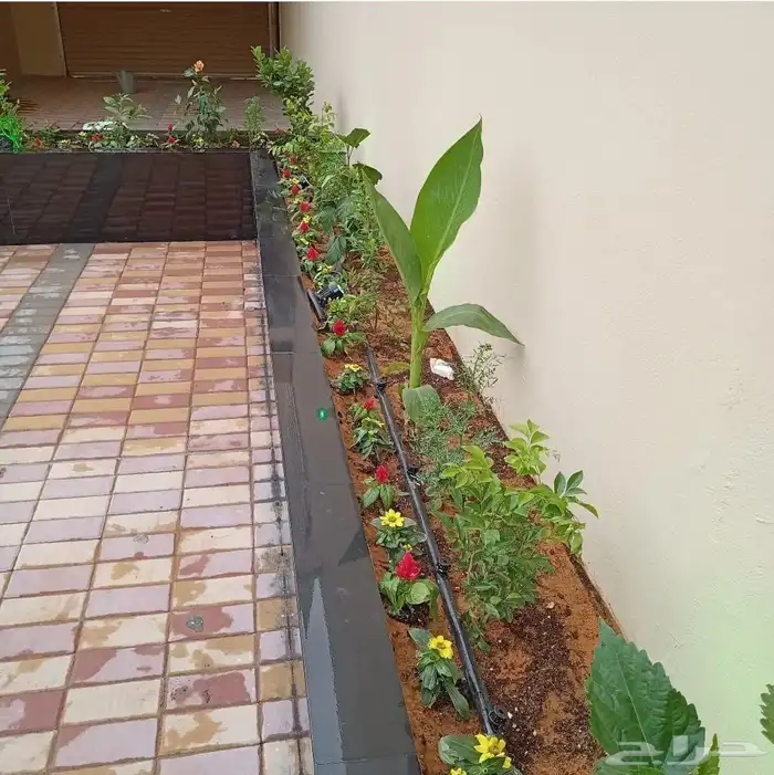 احواض زراعيه وتيل طبيعي 3