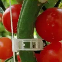 مشابك دعم النباتات كلبس 1
