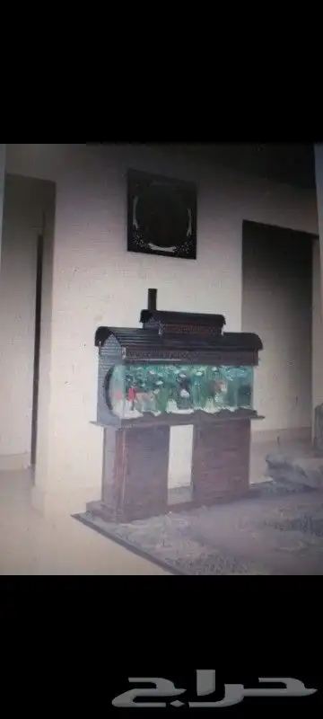 تصميم احواض سمك بنورما 5