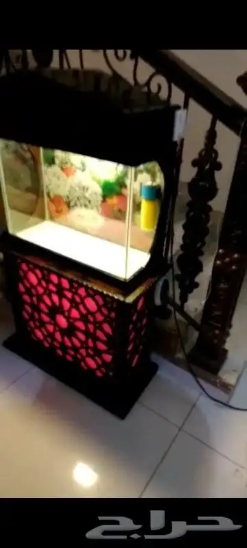 تصميم احواض سمك بنورما 2