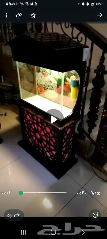 تصميم احواض سمك بنورما 0