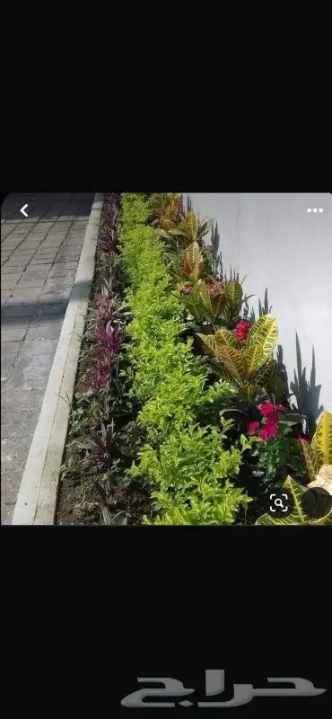 كل ما يخص الحدائق الزراعيه طبيعي وشبكات الري قص نخيل قص واشج 7