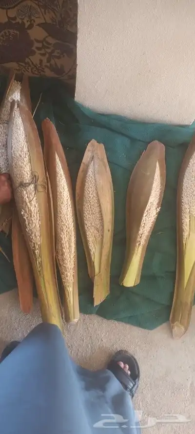 يوجد لدينا جميع انواع انخيل 8