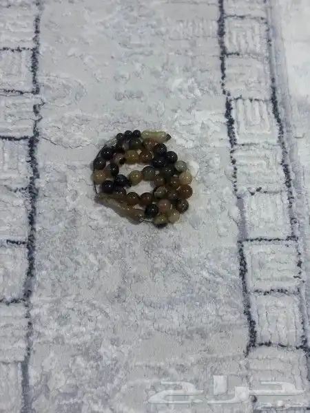 سبحه 0