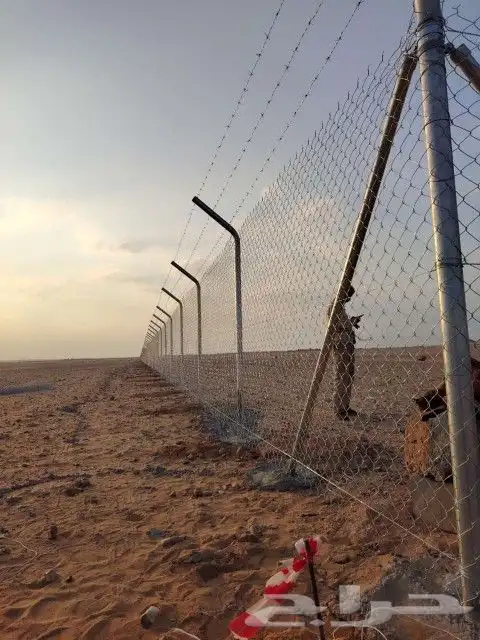 مقاول في توريد وتركيب الشبوك وتوريد وزراعة النخيل 2