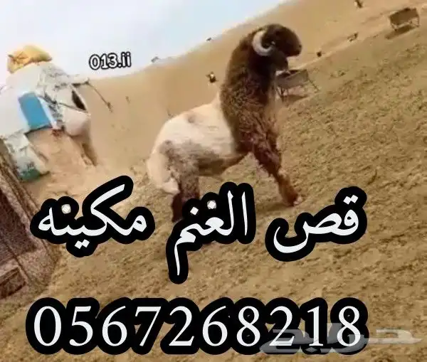 قص مكينه 0