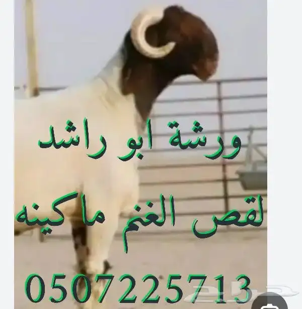 قص مكينه 1