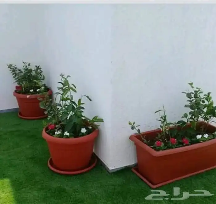 احواض زراعيه وتيل طبيعي 5