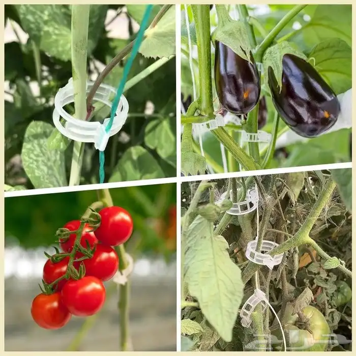 مشابك دعم النباتات كلبس 3