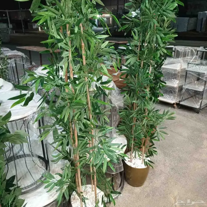 اشجار اصطناعية 9