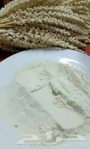 بودره لقاح النخيل او طلع النخيل جديد للبيع 0