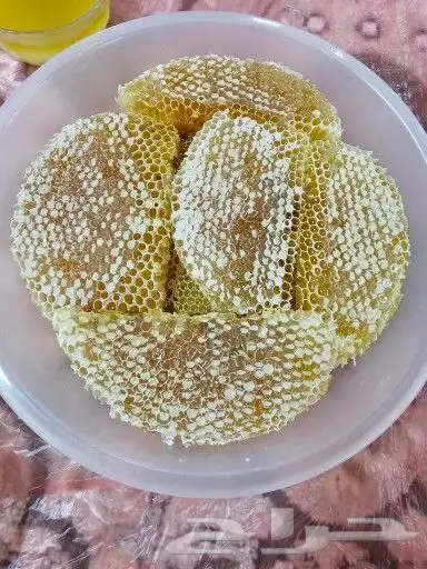 عسل سدره وقرض اصلي ذمه ومختبار 0
