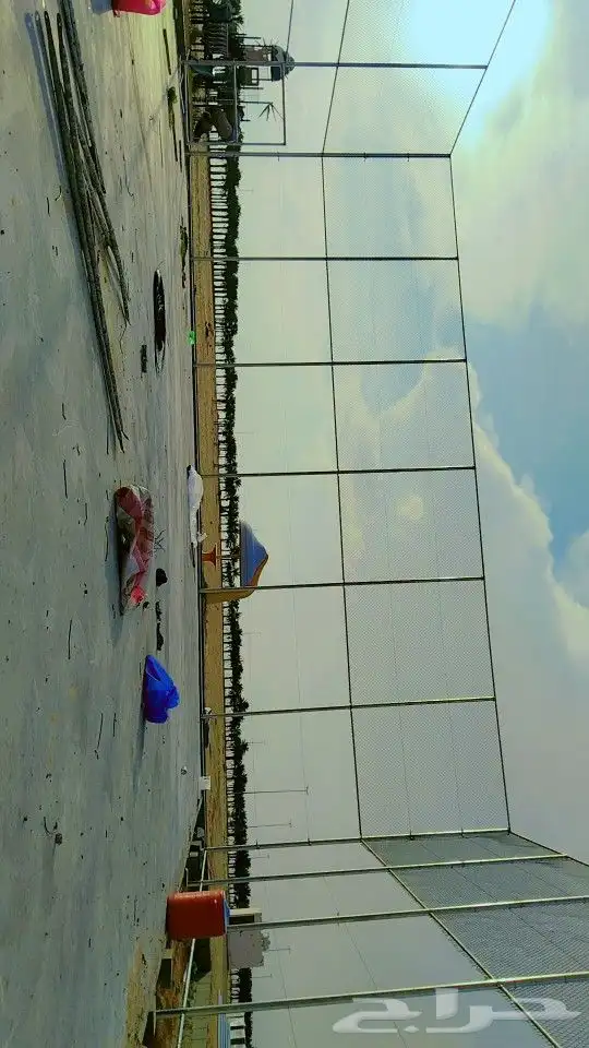 جميع الشبوك 8