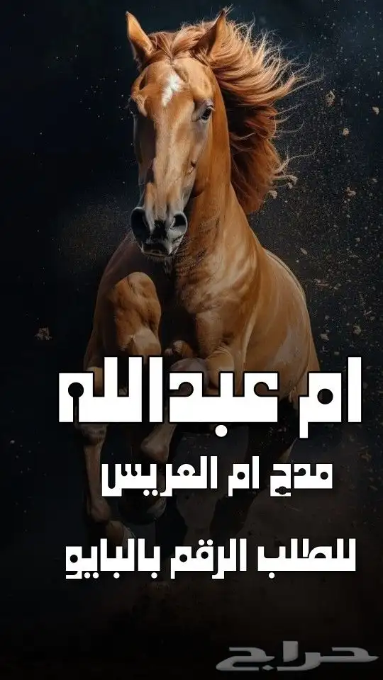 استديو احلام الطرب تنفيذ زفات شيلات بالأسماء 4