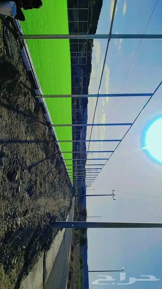 جميع الشبوك 9