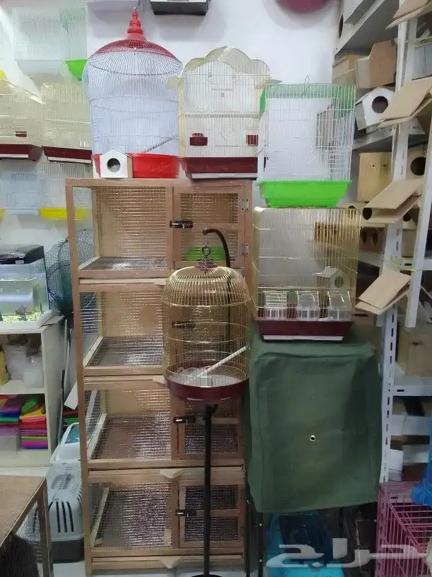قفص طيور بادجي مستلزمات فندقيه طيور قطط 3