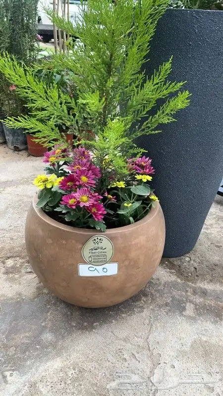 احواض مدن للزرع الصناعي والطبيعي فيبر جلاس ضد الكسر 0