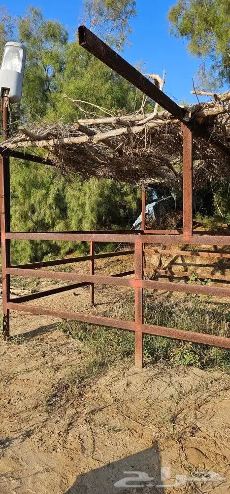 حديد نظيف 2
