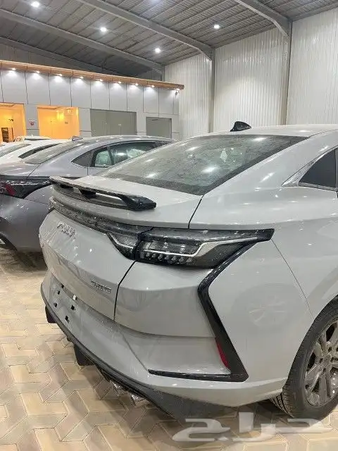دونج فينج شاين 2025 4