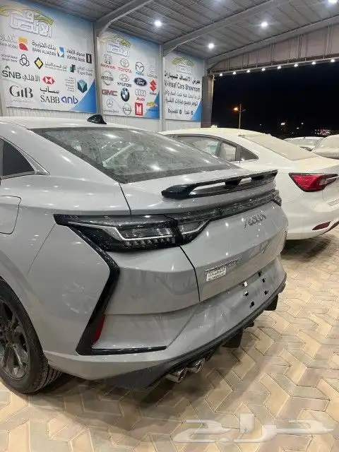 دونج فينج شاين 2025 3