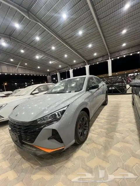 دونج فينج شاين 2025 1