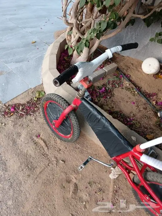 دراجة كوبرا مستعمل 3