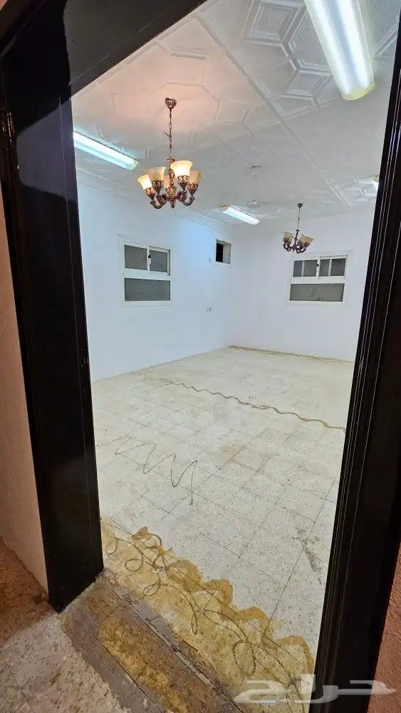 عمارة لتأجير أو البيع 6