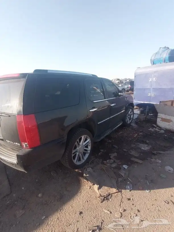 كادلاك اسكاليدا 2013 1