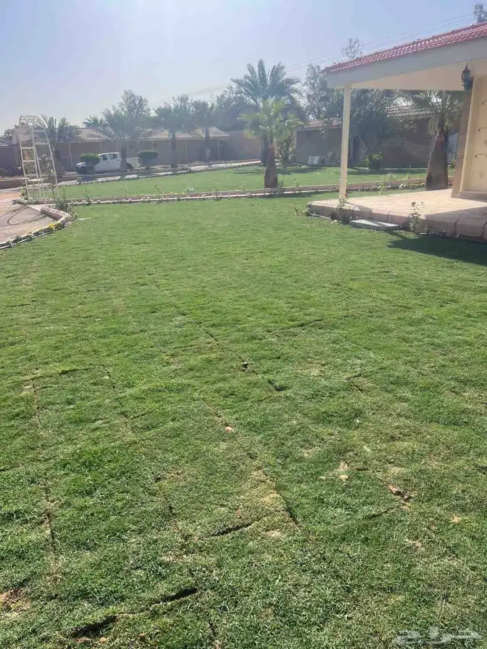 ثيل طبيعي شبكات ري زراعه الاشجار 8