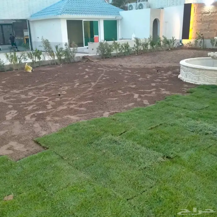 ثيل طبيعي شبكات ري زراعه الاشجار 7