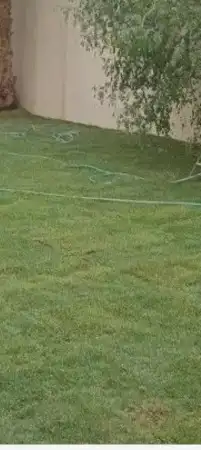 تنسيق حدائق 0