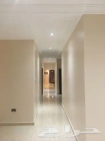 صباغ الجبيل 6