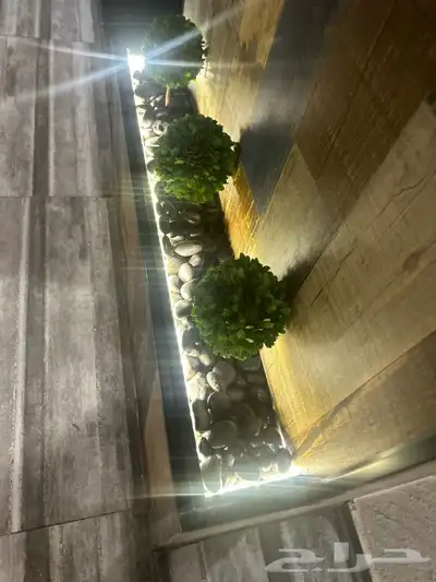 تنسيق حدائق جده 4