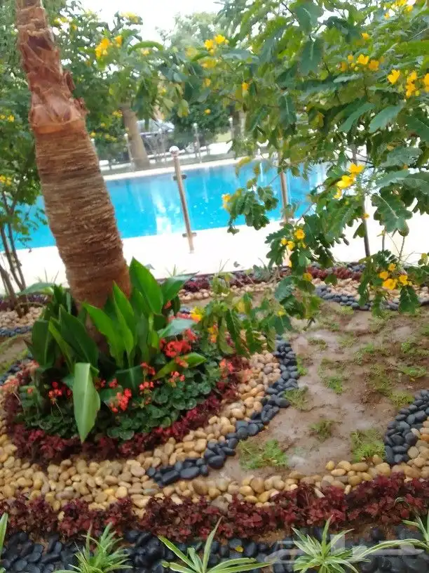 تنسيق حدائق 4