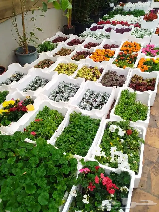 تنسيق حدائق 8