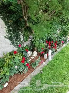 شركه تنظيف شقق فلل قصور ومجالس وغسيل مكيفات 9