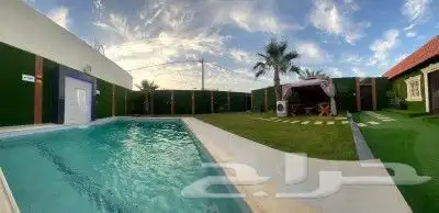 شالية اليومي بالعفجه 1