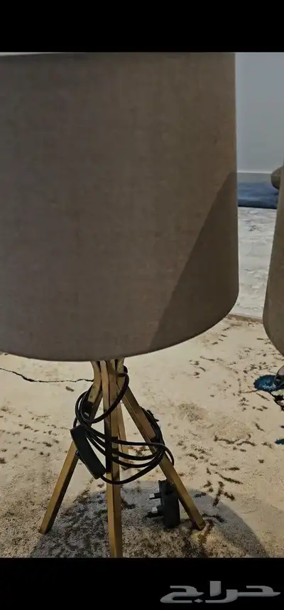 ابجورتين 0