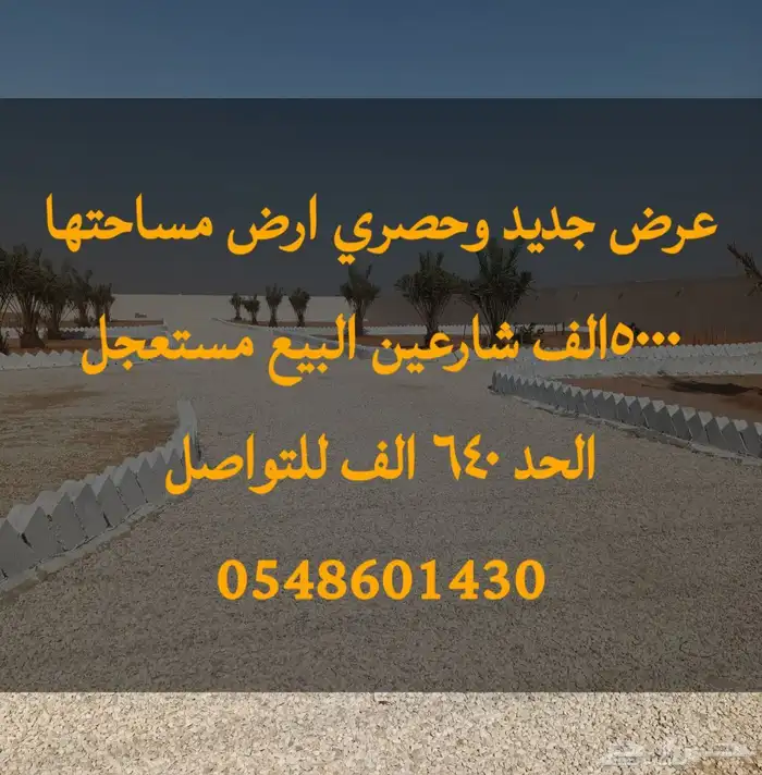 الخرج الهياثم العفجه نجديه الرحمانيه الشديده الرفايع العتيق 8