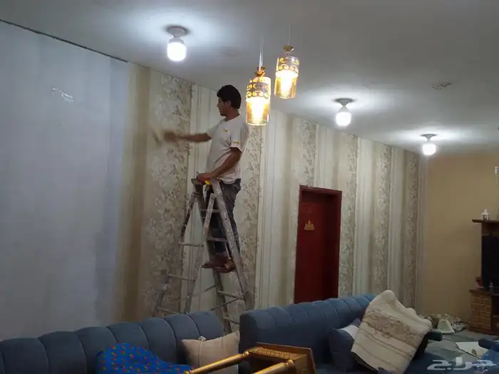 دهانات ورق ايبوكسي عوازل شرورة الوديعة لخاشيم 7
