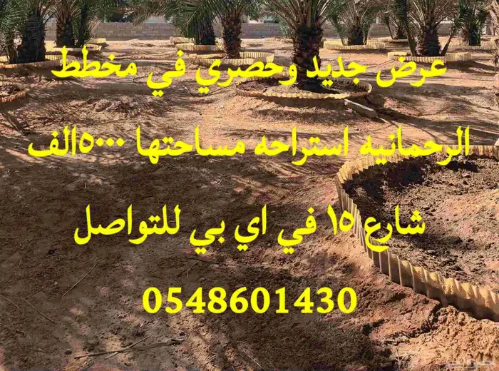 الخرج الهياثم العفجه نجديه الرحمانيه الشديده الرفايع العتيق 6